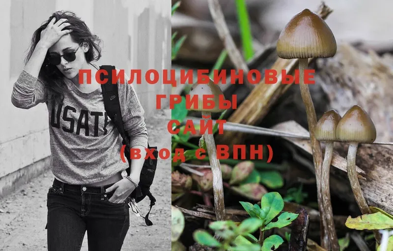 Псилоцибиновые грибы Magic Shrooms  кракен   Калязин  купить  